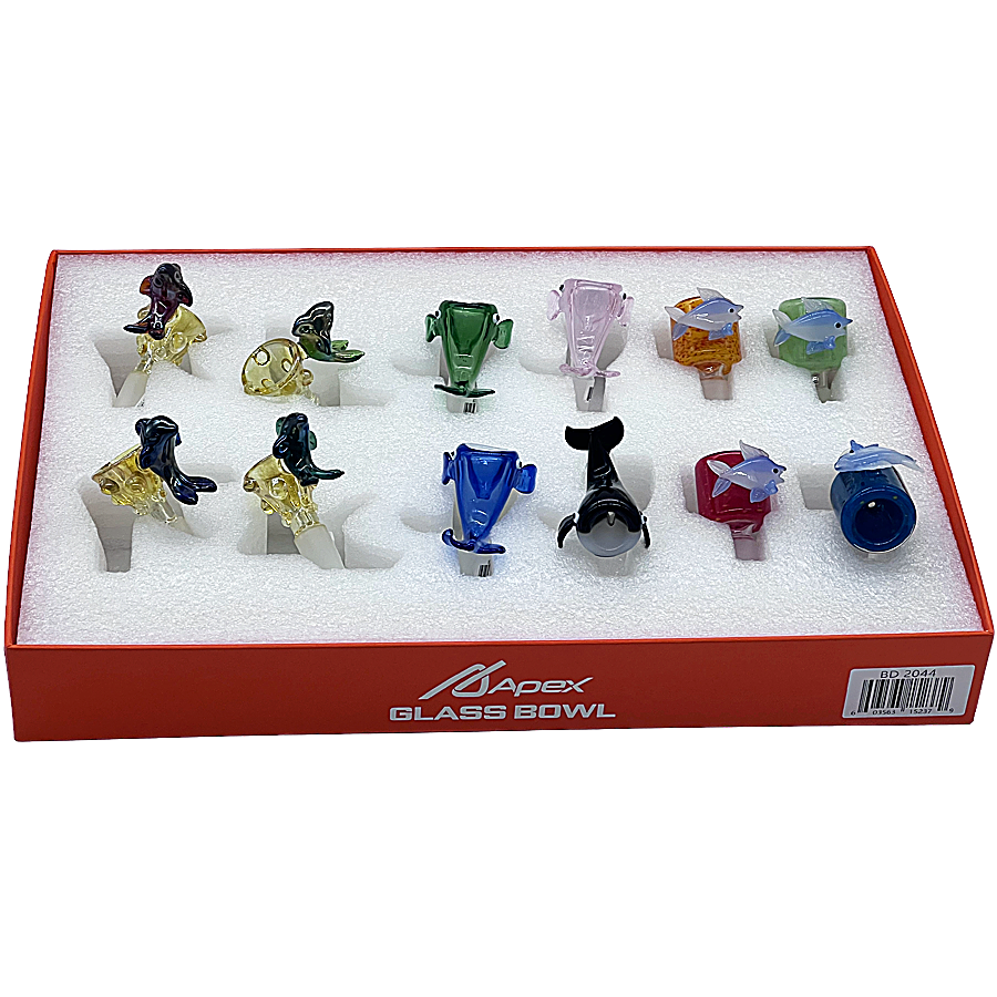 Apex Fancy Mixed Aquatic World Designs Bowl (BD2044) | Male | 14mm | 12 Count Display product image